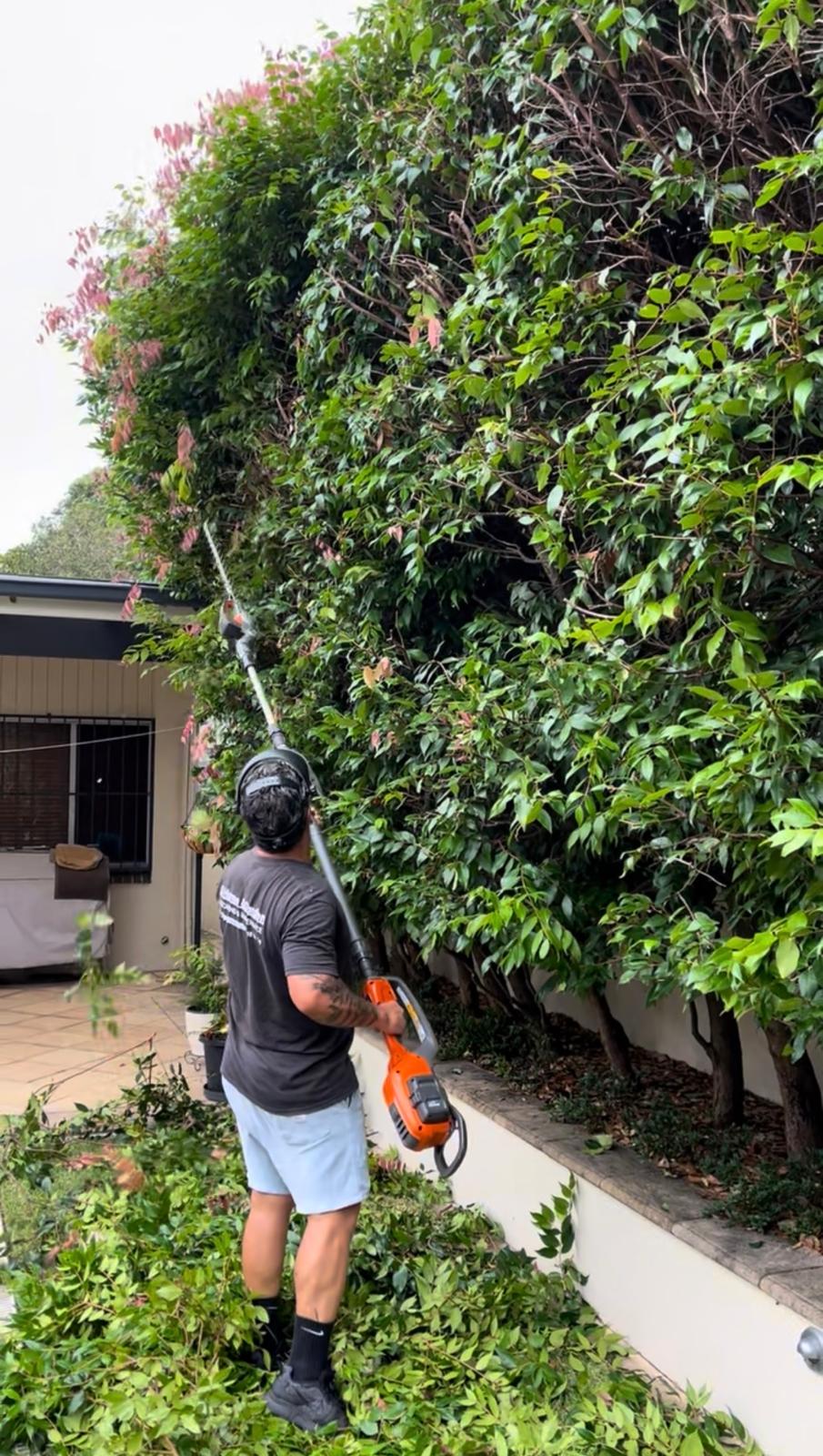 Residential outdoor transformation, Bondi